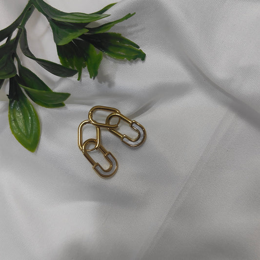 CharmLock Earrings